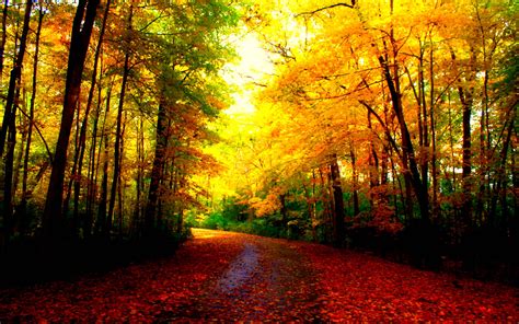 beautiful autumn desktop wallpaper|free autumn desktop wallpaper backgrounds.